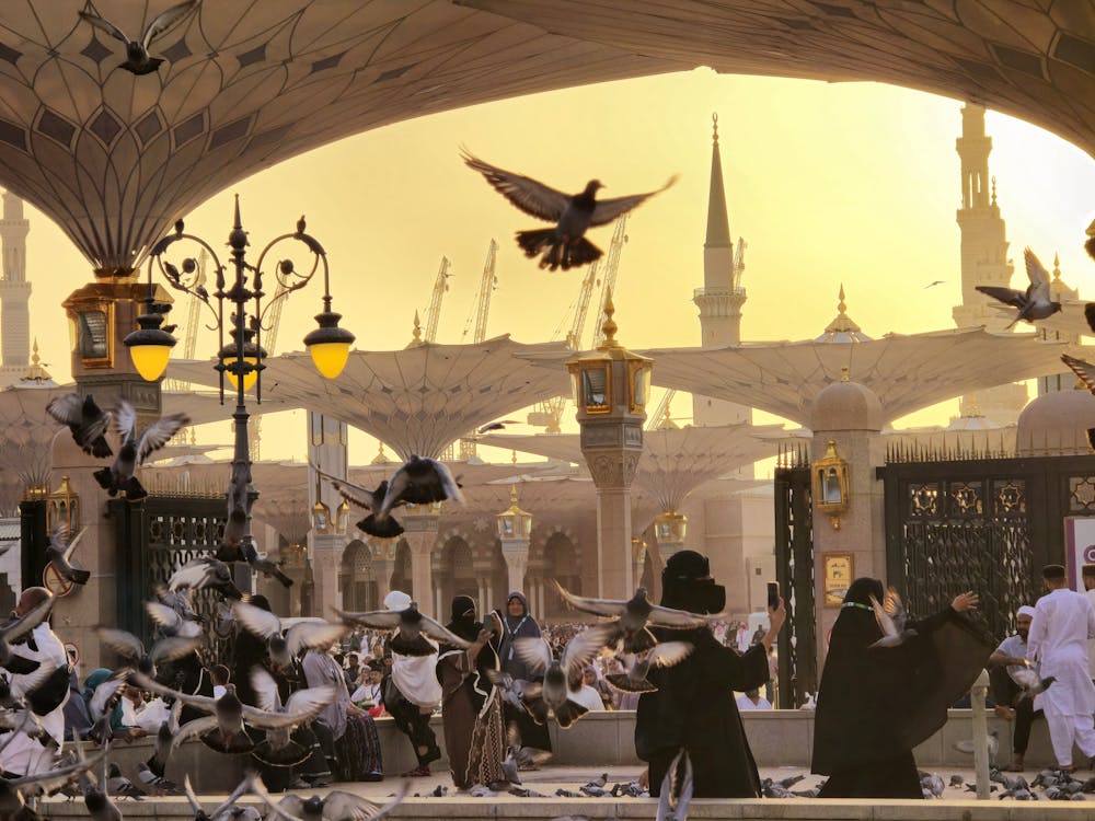 Premium Madinah taxi service
